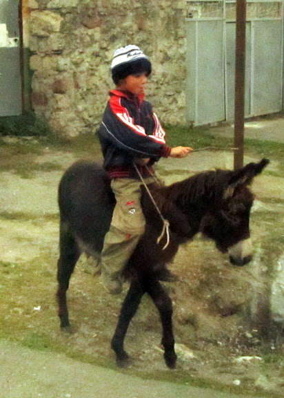 Obrazek