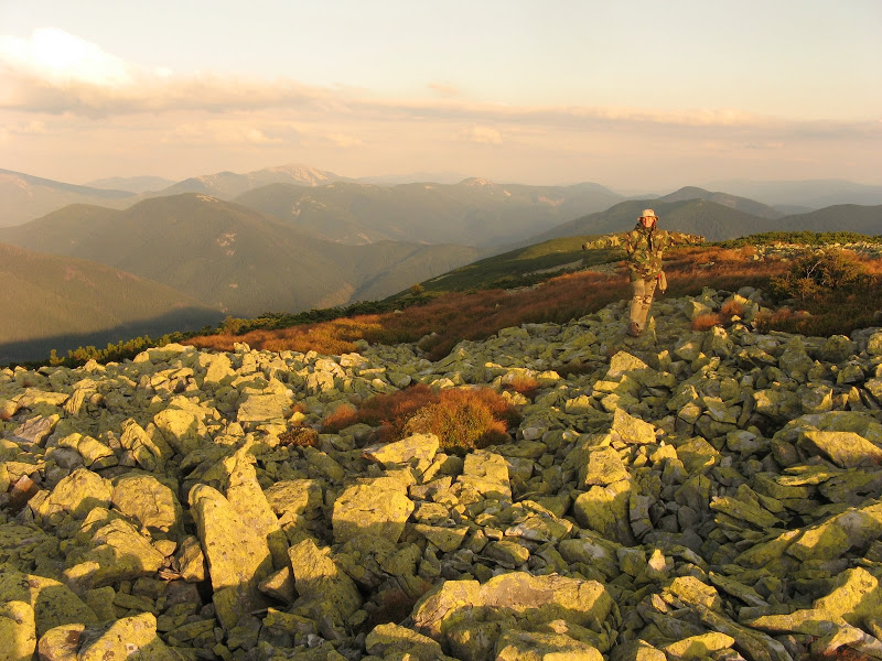 Obrazek
