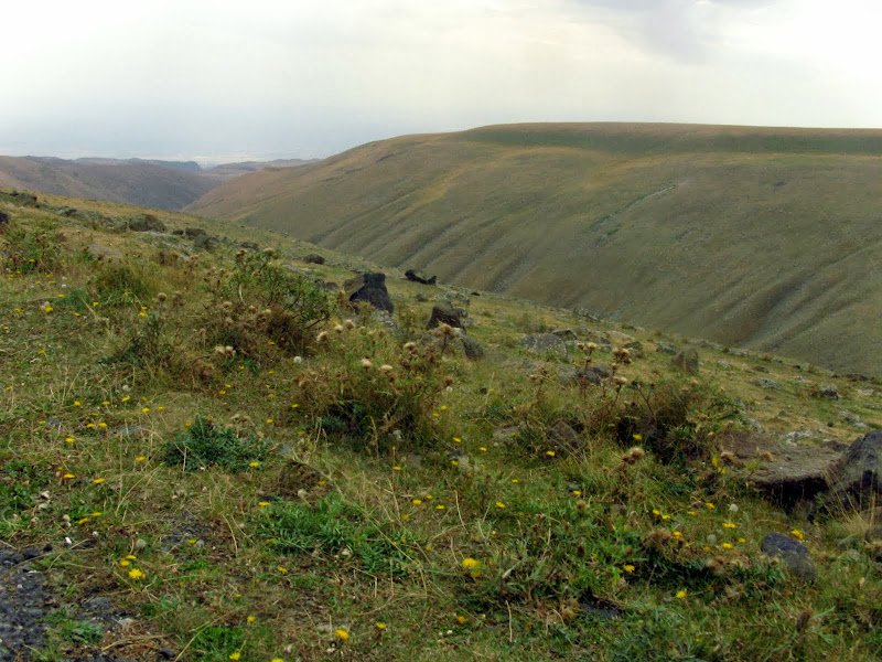 Obrazek