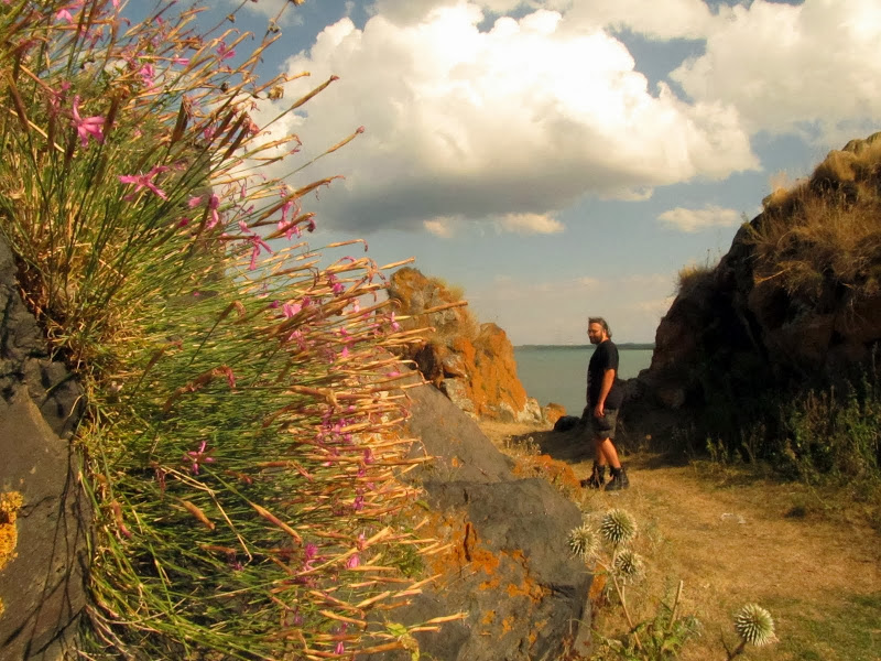 Obrazek