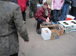 naddniestrze - tyraspol