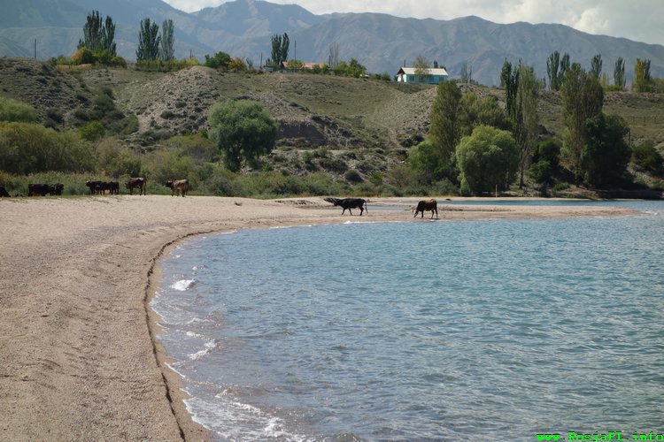 kirgistan tamga Issyk-kul