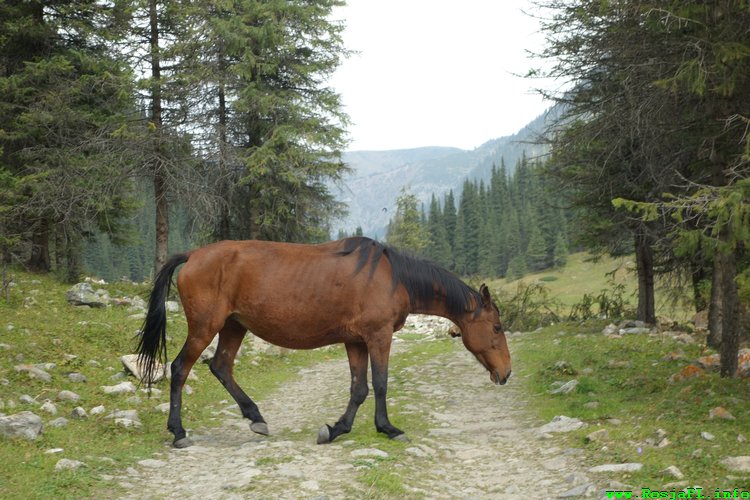 kirgistan relacja 430