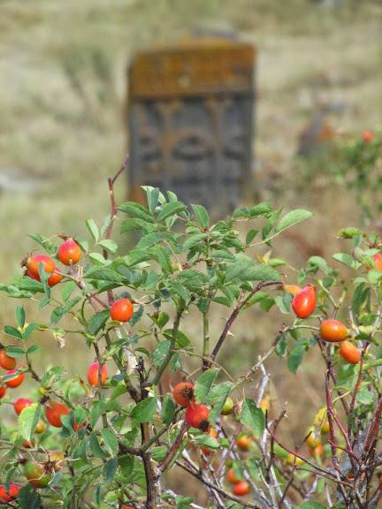 Armenia, Karabach - relacja z podrozy