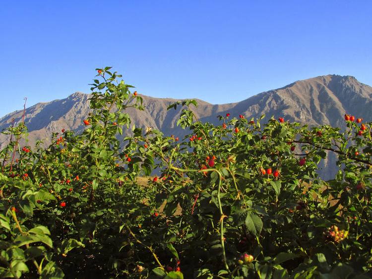 Armenia, Karabach - relacja z podrozy