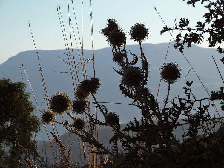 Armenia, Karabach - relacja z podrozy
