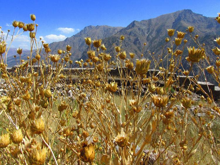 Armenia, Karabach - relacja z podrozy