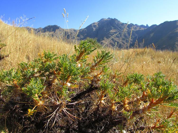 Armenia, Karabach - relacja z podrozy