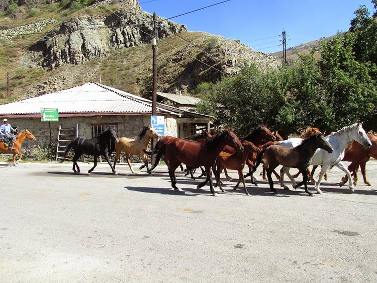 Armenia, Karabach - relacja z podrozy