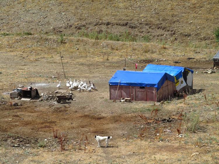 Armenia, Karabach - relacja z podrozy