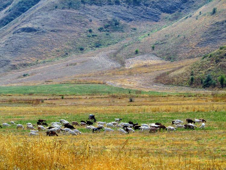 Armenia, Karabach - relacja z podrozy