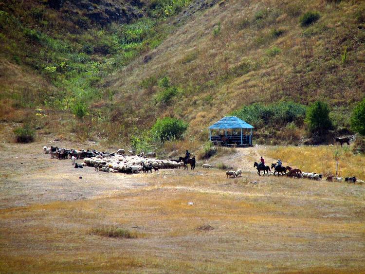 Armenia, Karabach - relacja z podrozy