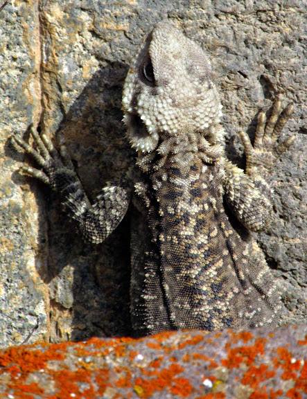 Armenia, Karabach - relacja z podrozy