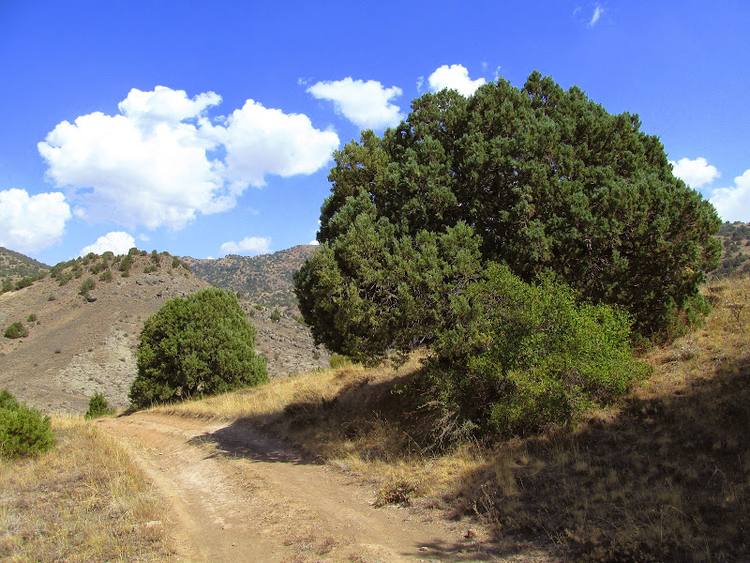 Armenia, Karabach - relacja z podrozy