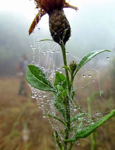 Armenia, Karabach - relacja z podrozy