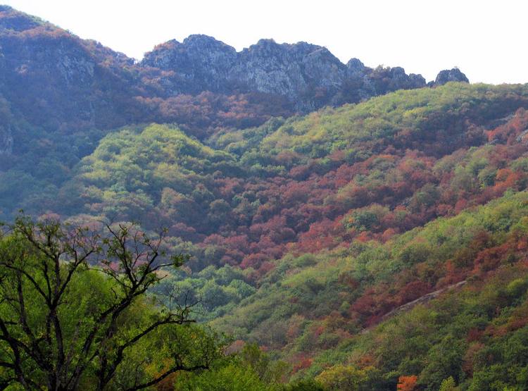 Armenia, Karabach - relacja z podrozy