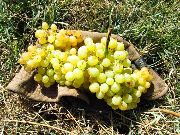 Armenia, Karabach - relacja z podrozy