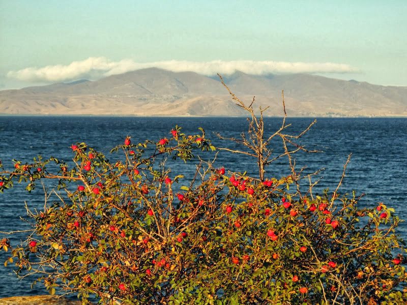 Armenia - relacja z podróży