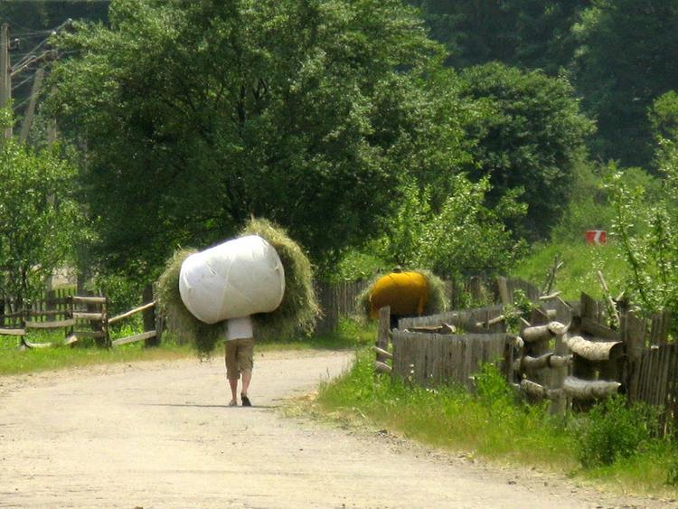 Ukraina - Karpaty - Bialy Czeremosz