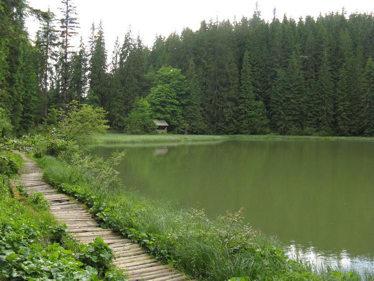Ukraina - Karpaty - Bialy Czeremosz