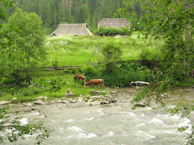 Ukraina - Karpaty - Bialy Czeremosz