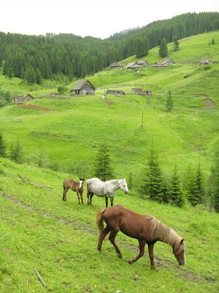 Ukraina - Karpaty - Bialy Czeremosz