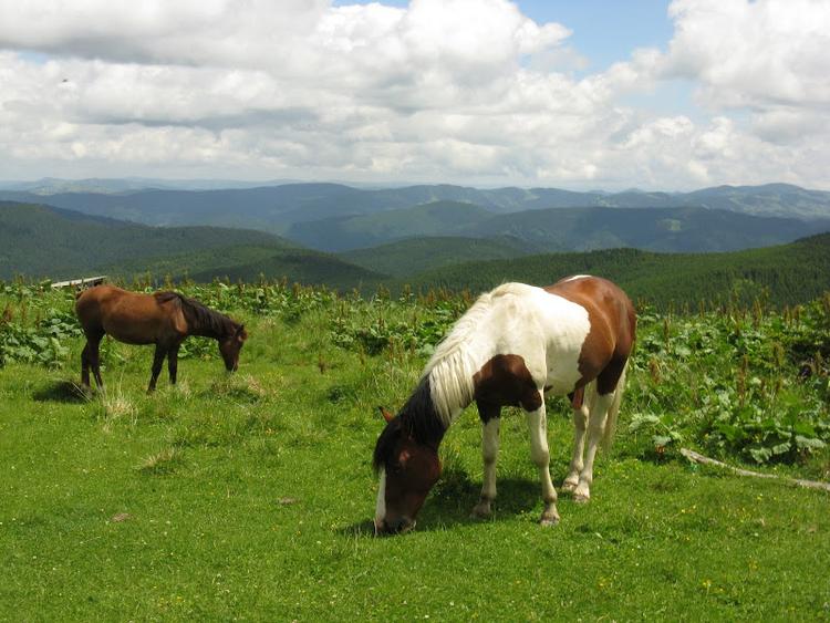 Ukraina - Karpaty - Bialy Czeremosz