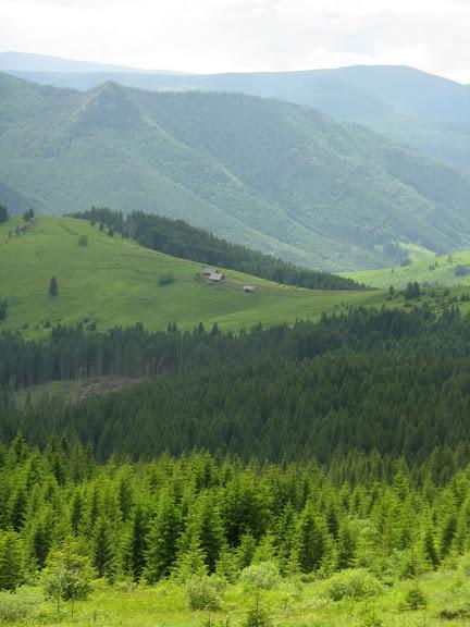 Ukraina - Karpaty - Bialy Czeremosz