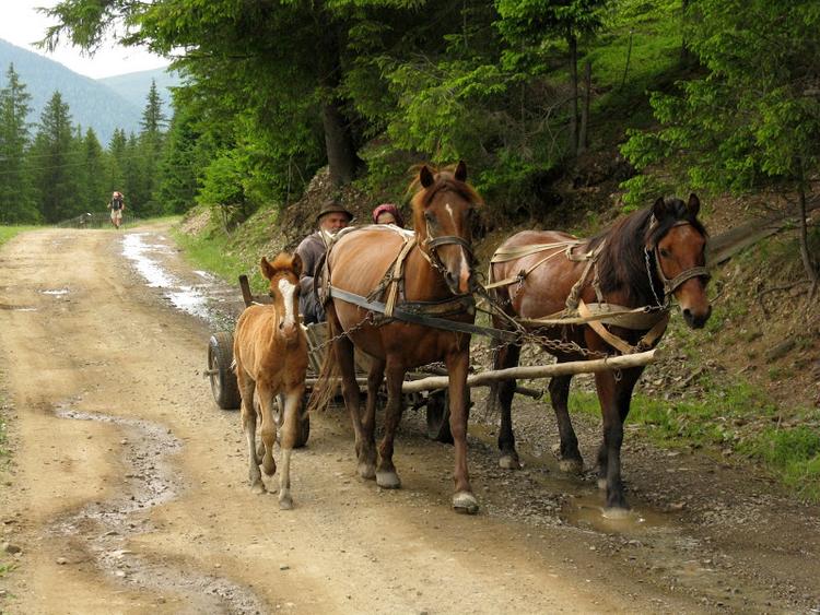 Ukraina - Karpaty - Bialy Czeremosz