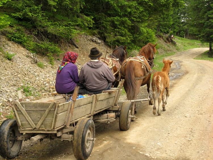 Ukraina - Karpaty - Bialy Czeremosz