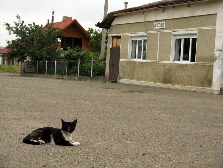 Ukraina - Karpaty - Bialy Czeremosz