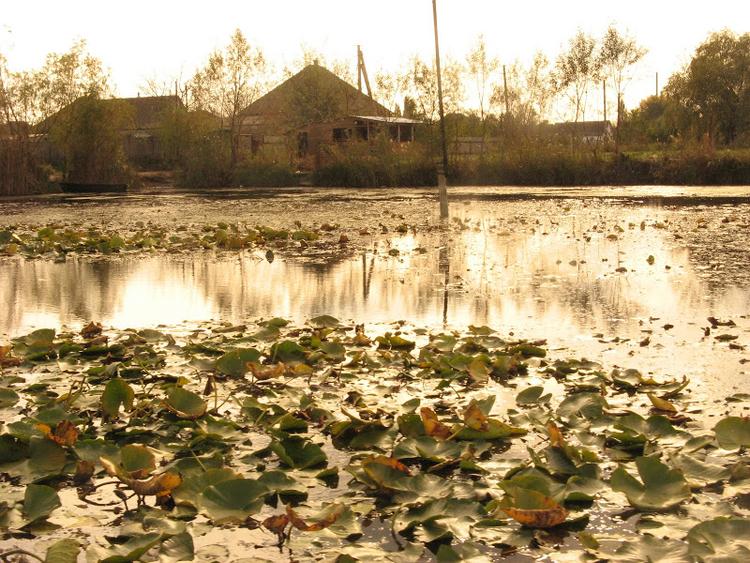 Ukraina - Delta Dunaju - relacja z podróży