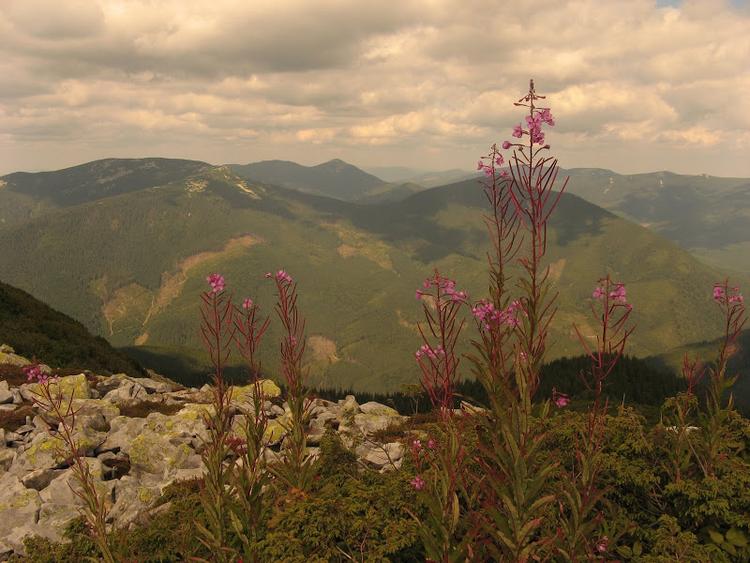 Ukraina - Gorgany - relacja z podróży