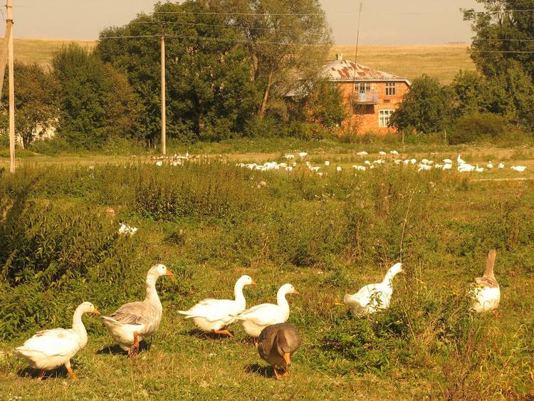 Ukraina - Gorgany - relacja z podróży