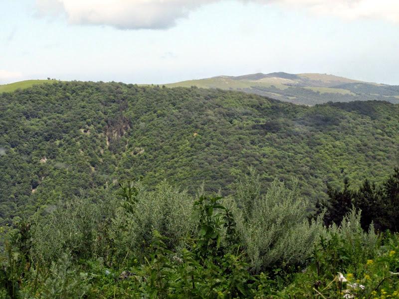 Gruzja - relacja z podróży