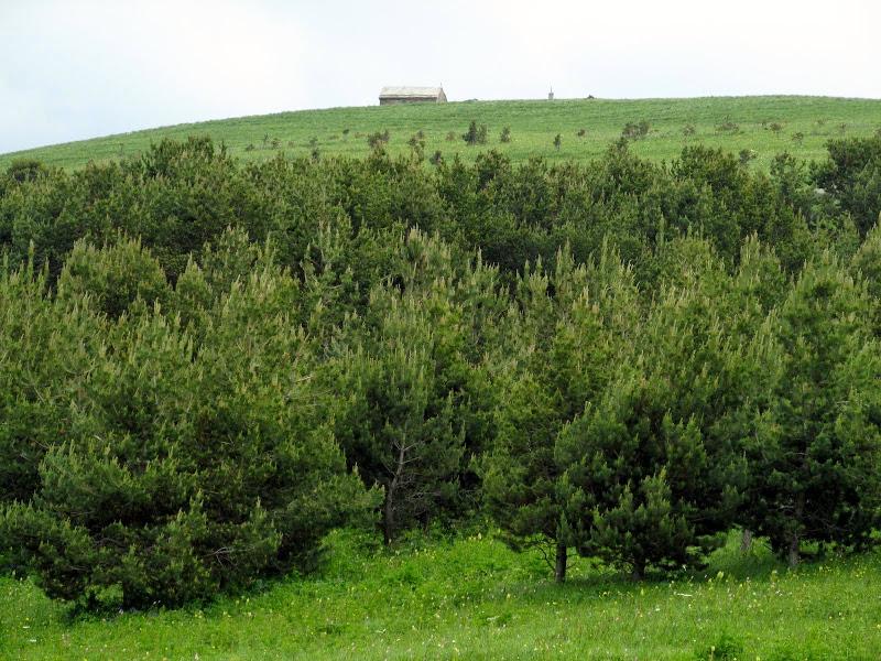 Gruzja - relacja z podróży