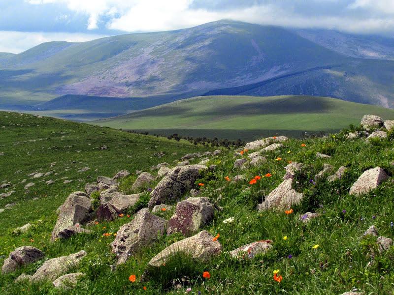 Gruzja - relacja z podróży