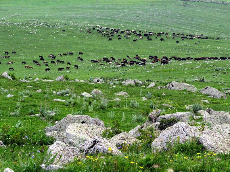 Gruzja - relacja z podróży