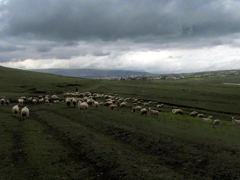 Gruzja - relacja z podróży