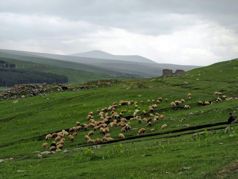 Gruzja - relacja z podróży