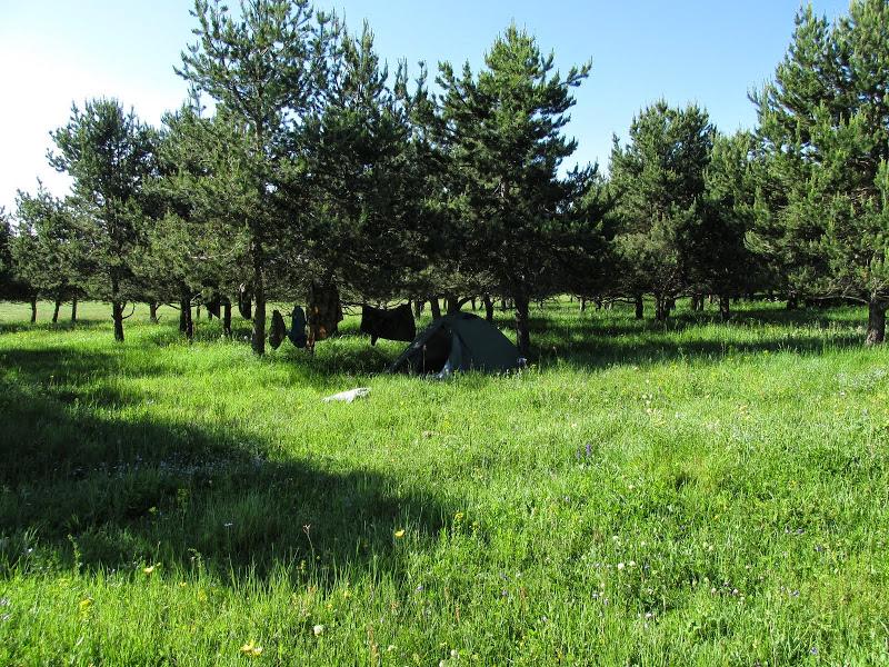 Gruzja - relacja z podróży