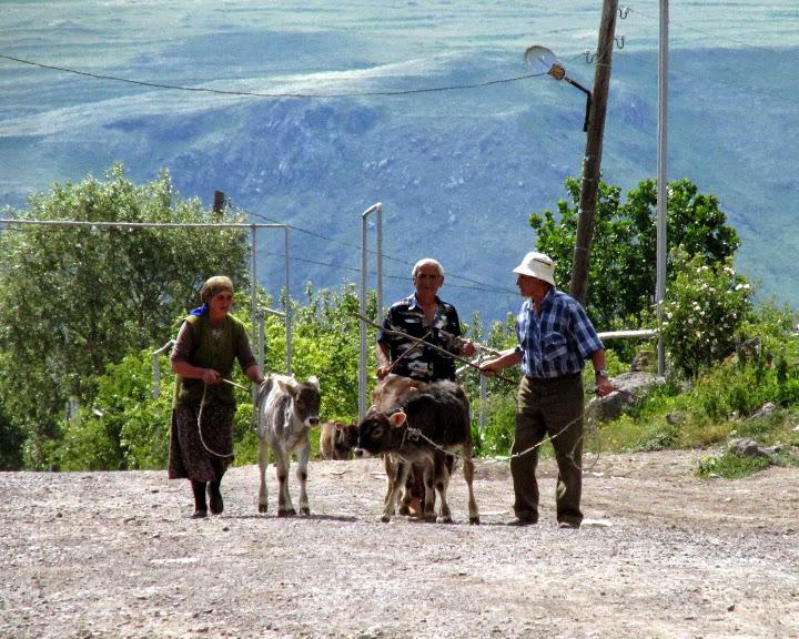Gruzja - relacja z podróży