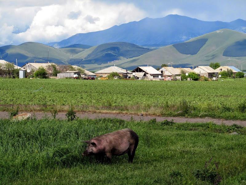 Gruzja - relacja z podróży