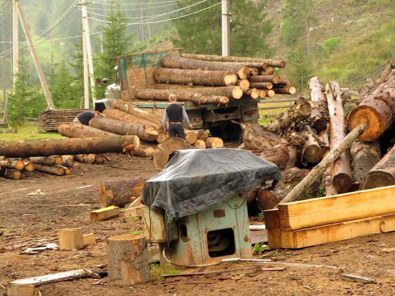 Karpaty Bukowina - relacja z podróży