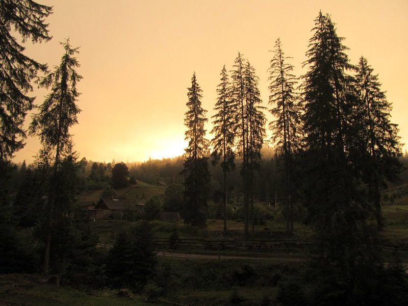 Karpaty Bukowina - relacja z podróży