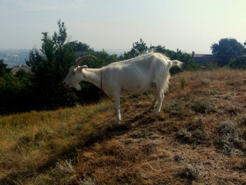 Kercz - Krym