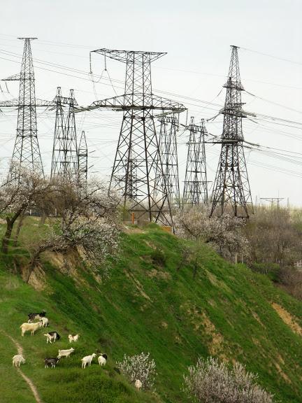 Krym elektriczkami