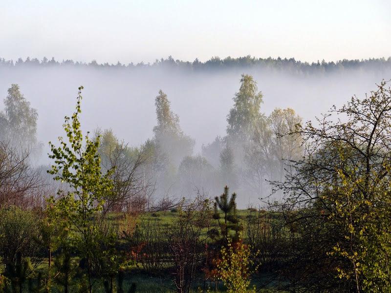 litwa, łotwa