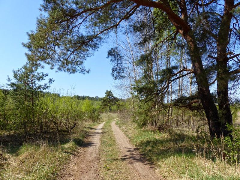 litwa, łotwa