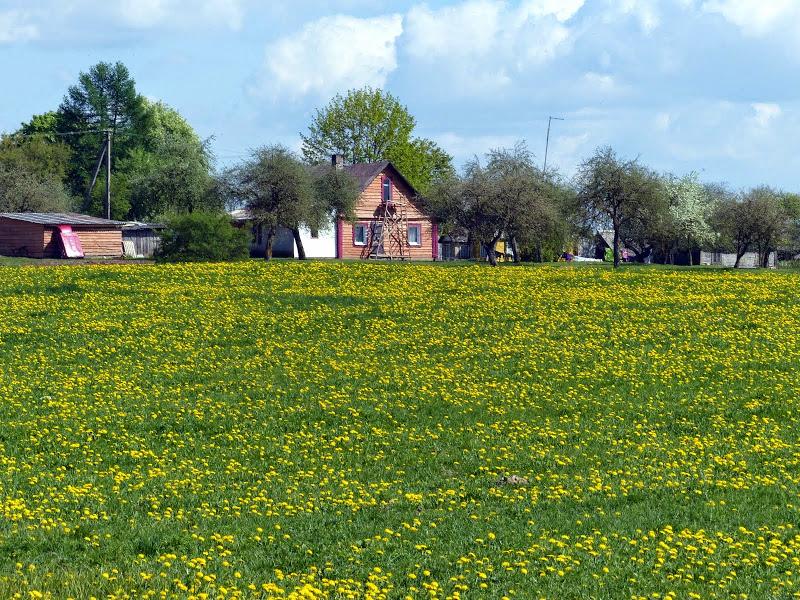 litwa, łotwa